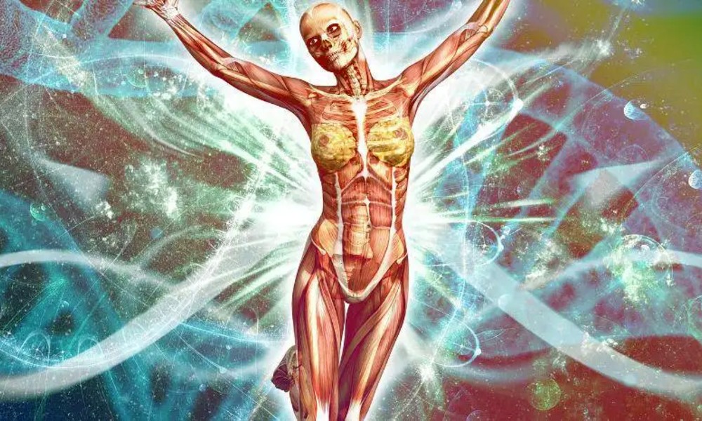Epigenetik und transgenerationale Vererbung